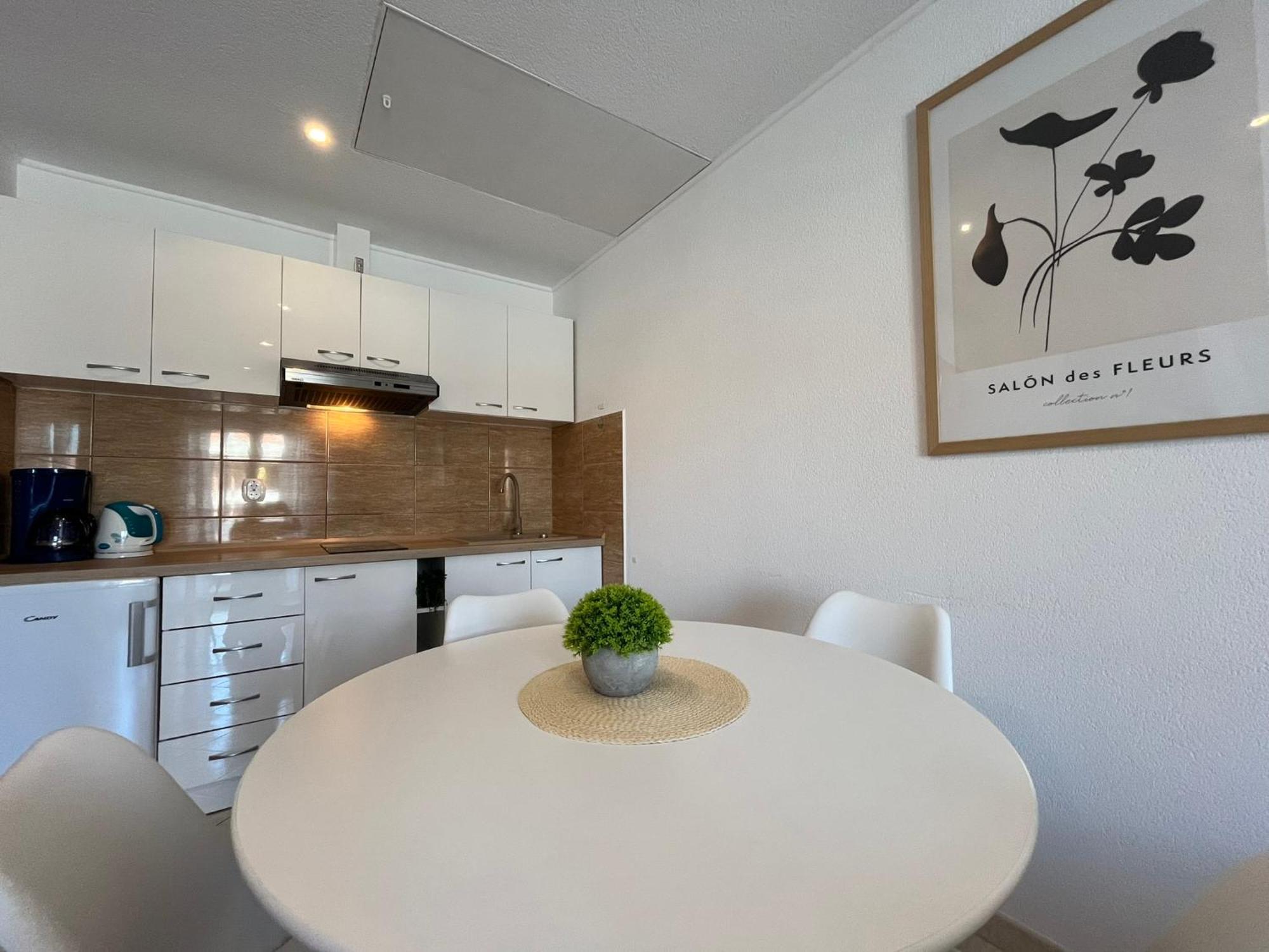 Apartments Contessa Novigrad Istria Exterior foto