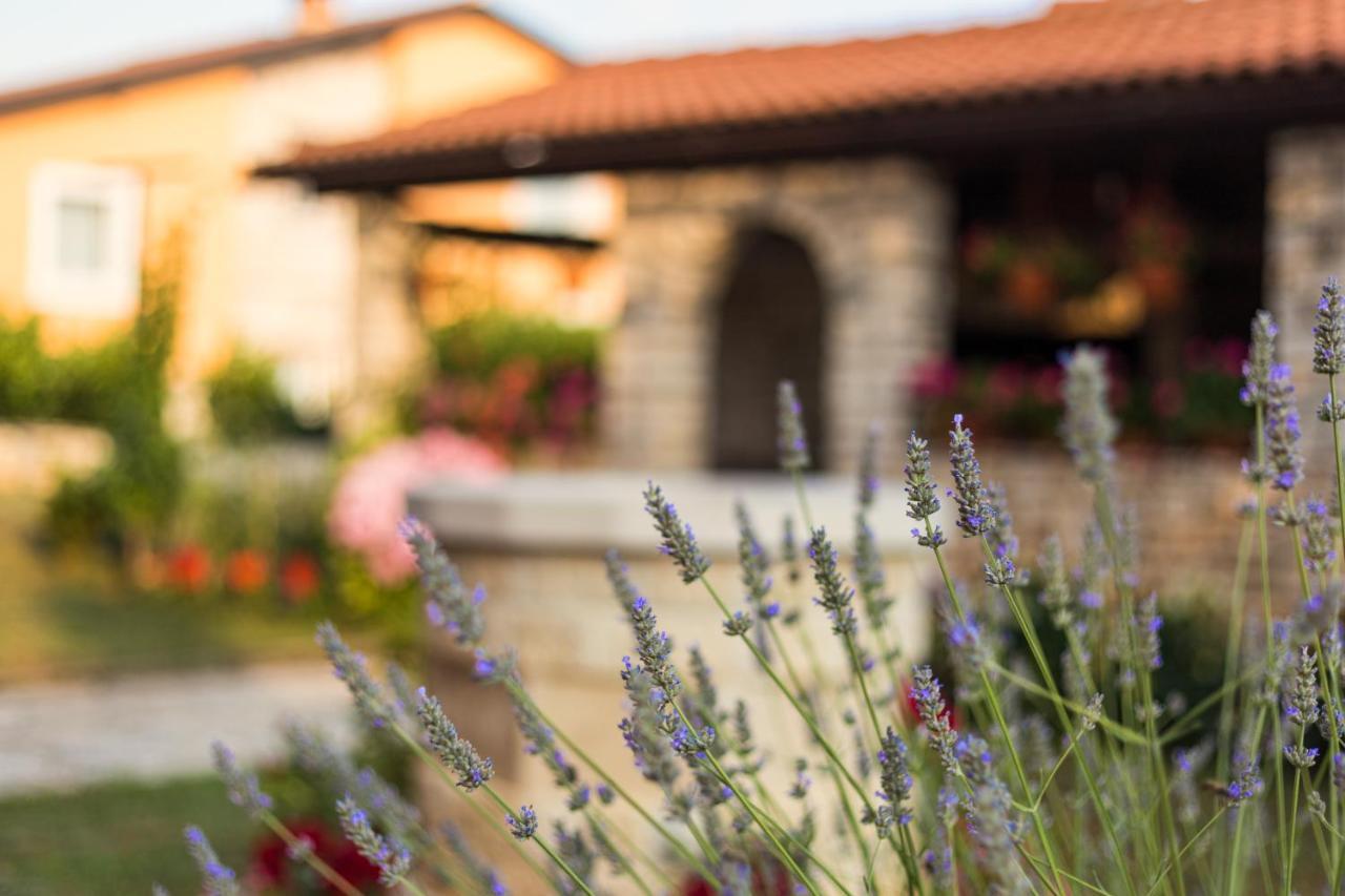 Apartments Contessa Novigrad Istria Exterior foto